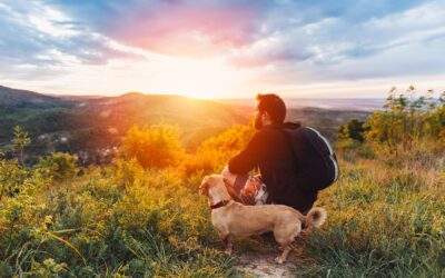 How First Responders can Manage Stress Effectively